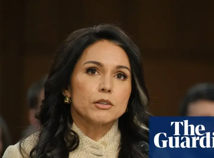 tulsi gabbard — DE news