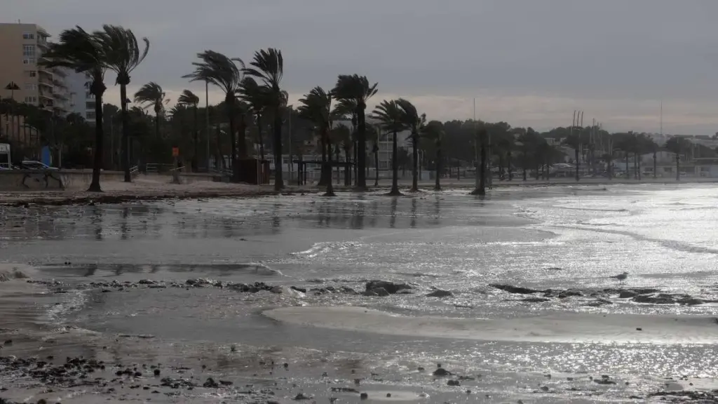 unwetter kanaren gran canaria — DE news