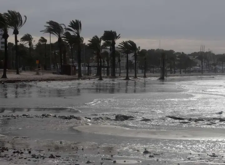 unwetter kanaren gran canaria — DE news