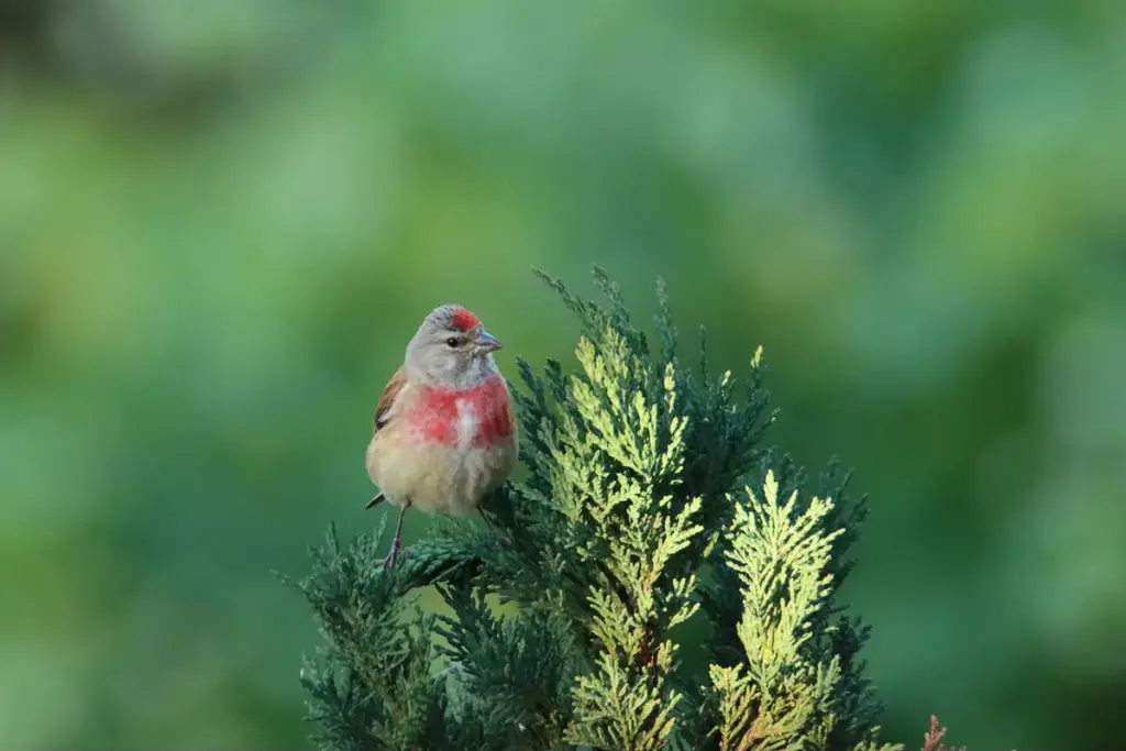 vermisst mainaschaff — DE news