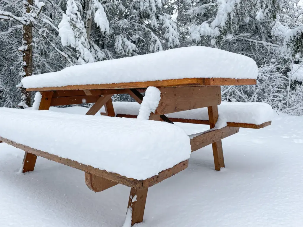wetter schnee — DE news