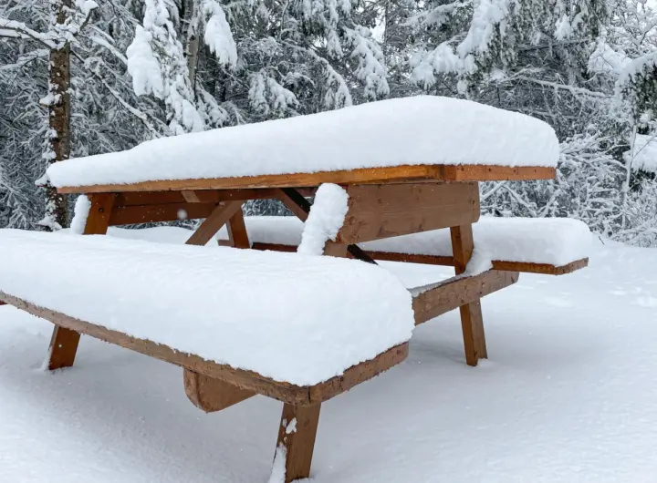 wetter schnee — DE news
