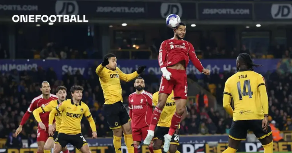 wolves vs liverpool — DE news