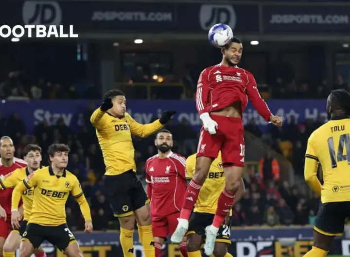 wolves vs liverpool — DE news