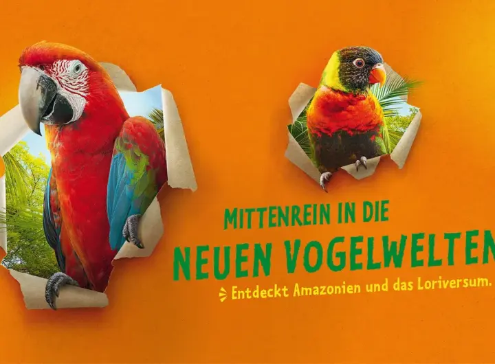 zoo leipzig — DE news