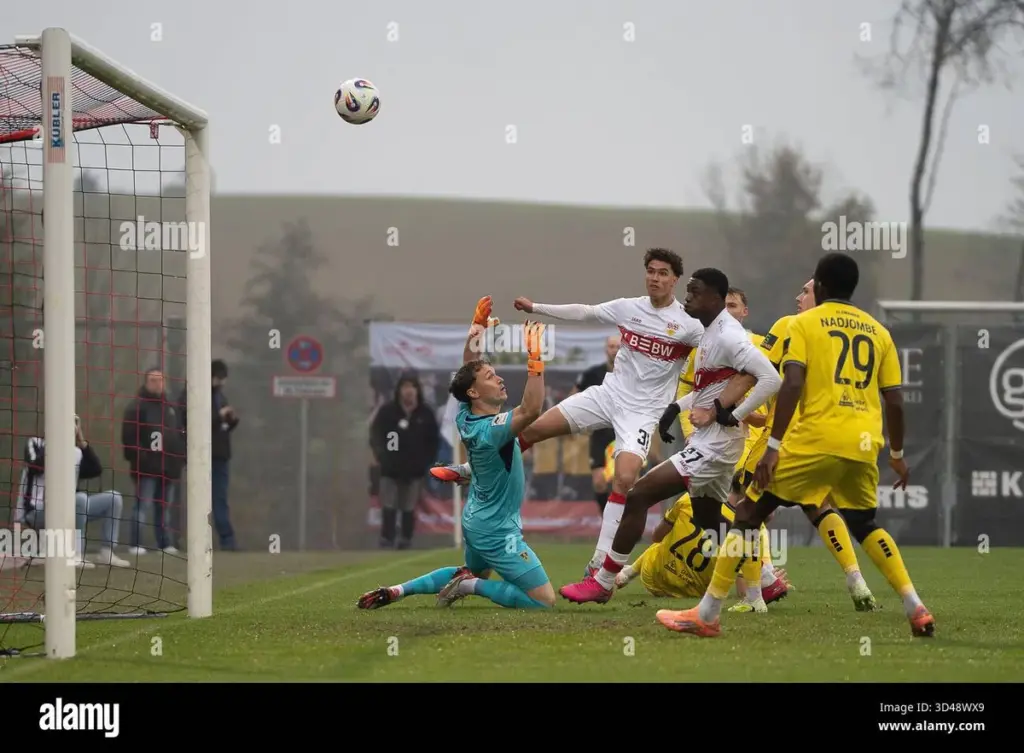 alemannia – stuttgart ii — DE news