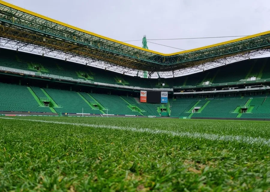 amadora – sporting — DE news