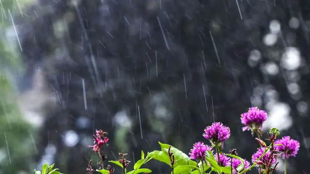 aprilwetter — DE news