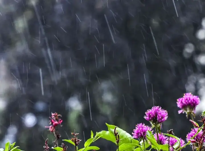 aprilwetter — DE news