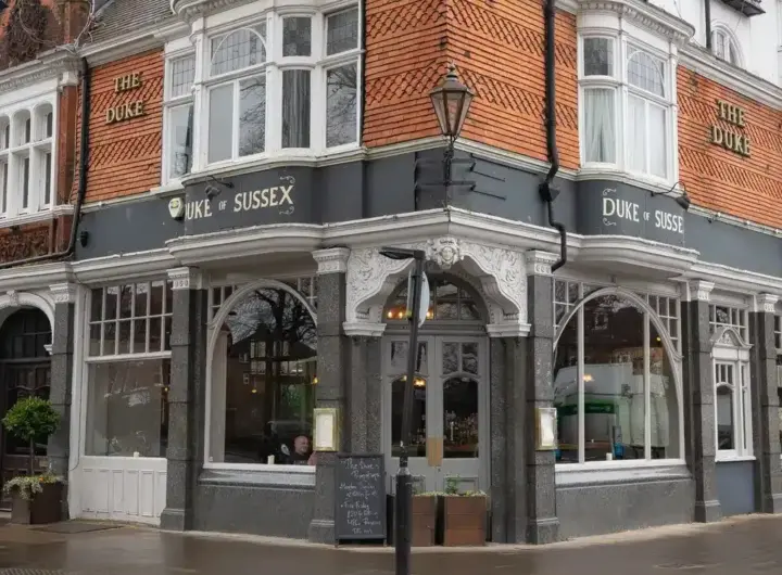 duke of sussex — DE news