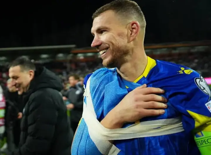 dzeko verletzt — DE news
