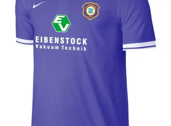 erzgebirge aue – hoffenheim ii — DE news