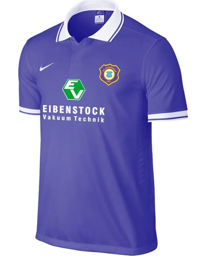 erzgebirge aue – hoffenheim ii — DE news