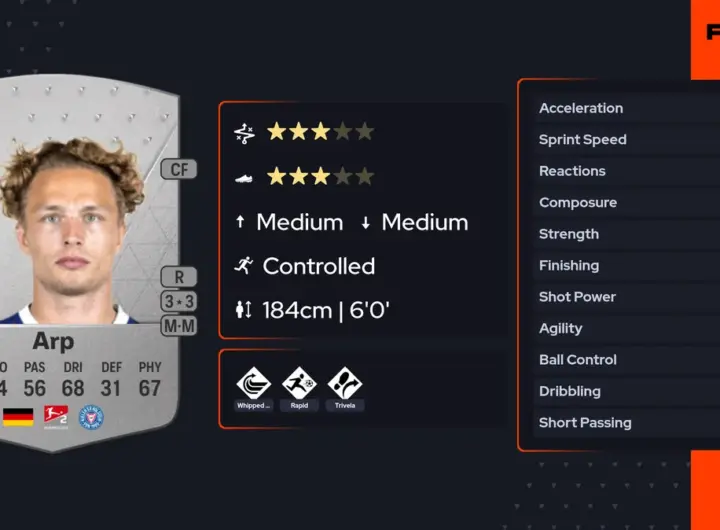 fiete arp — DE news