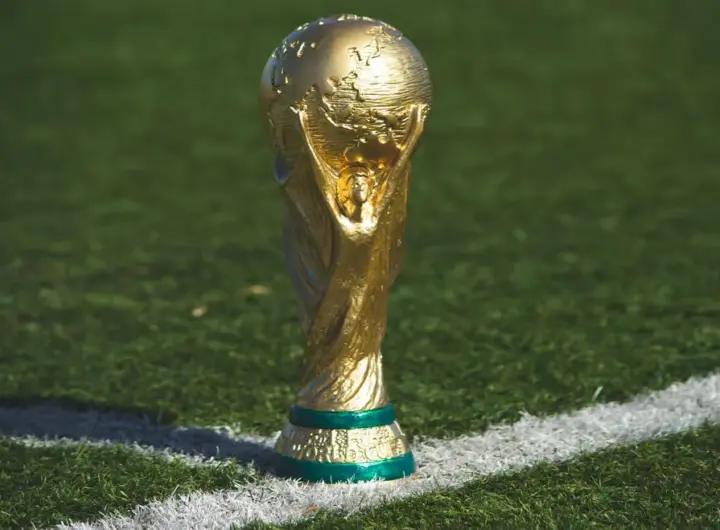 fußball-weltmeisterschaft — DE news
