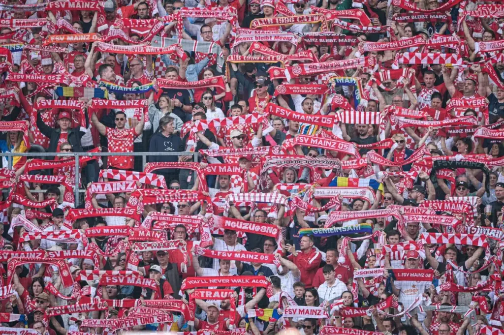 hoffenheim – mainz — DE news