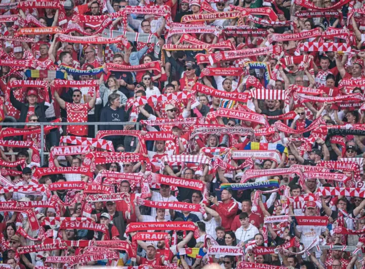 hoffenheim – mainz — DE news
