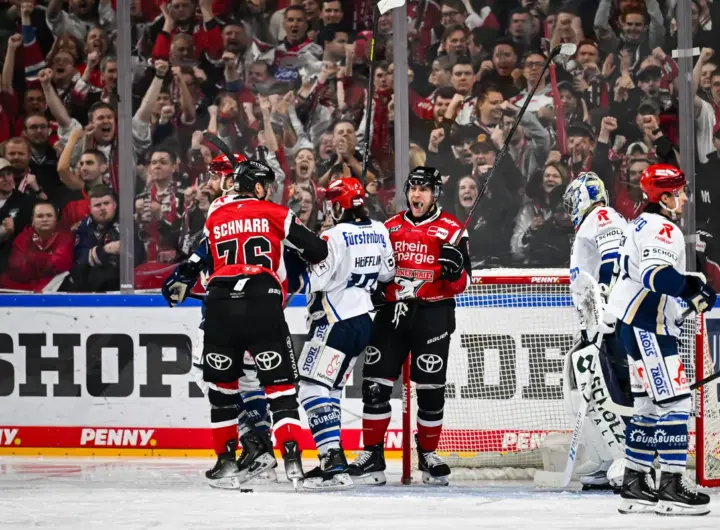 kölner haie — DE news