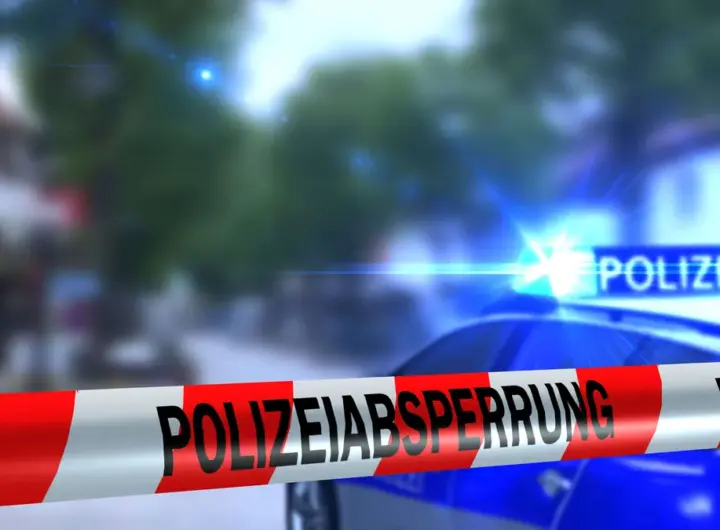öffentlichkeitsfahndung — DE news