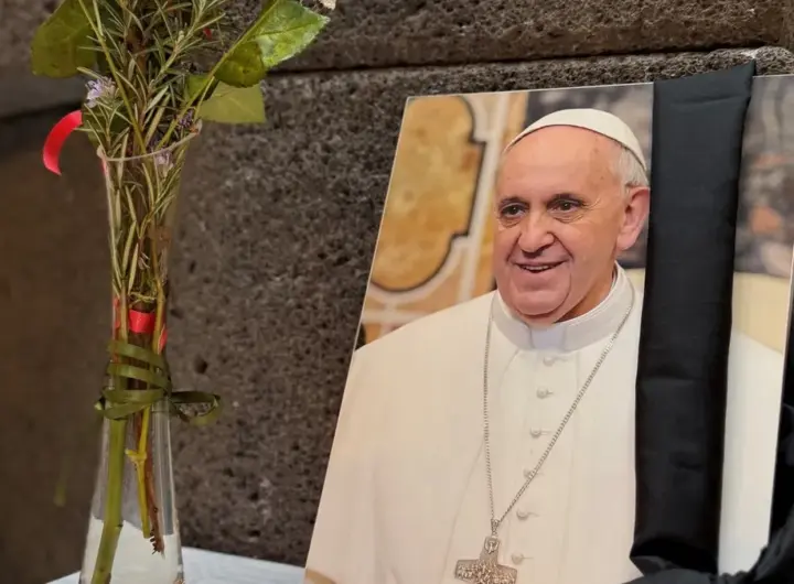 papst franziskus — DE news