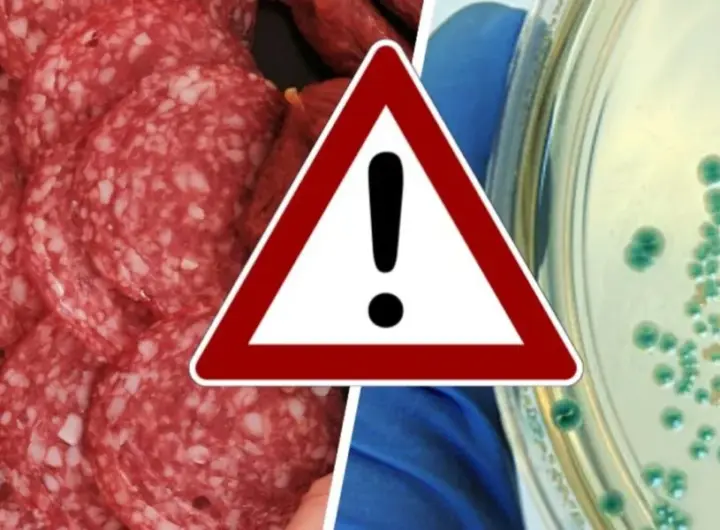 salami rückruf — DE news