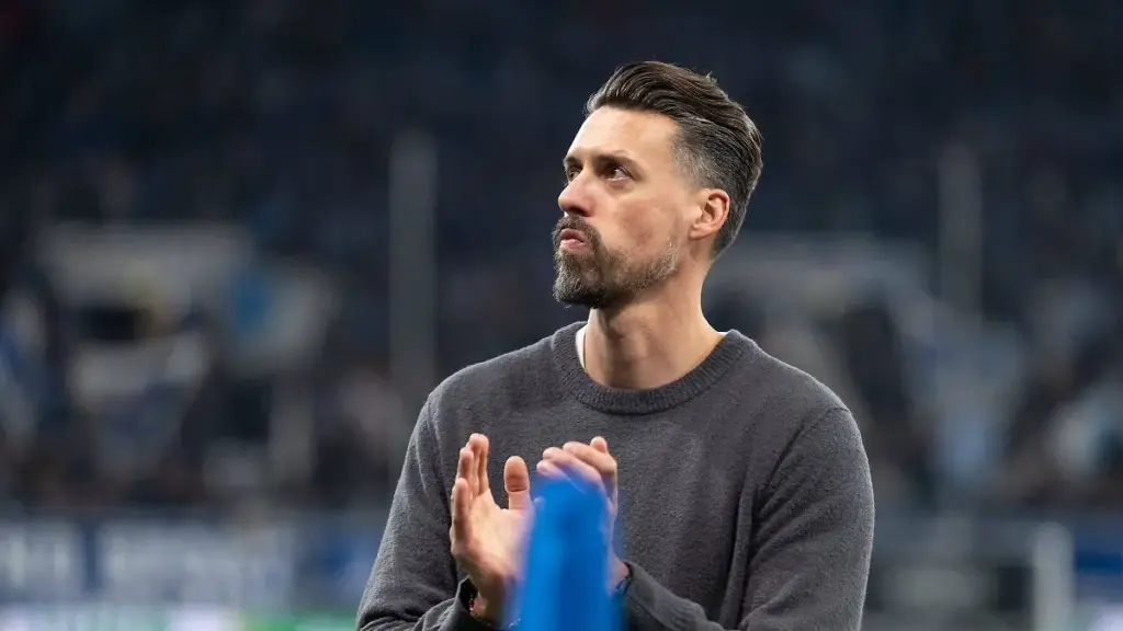 sandro wagner — DE news