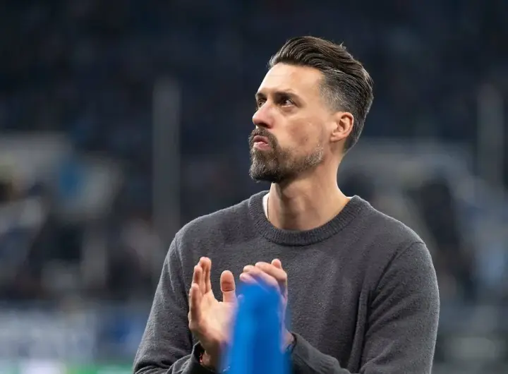sandro wagner — DE news