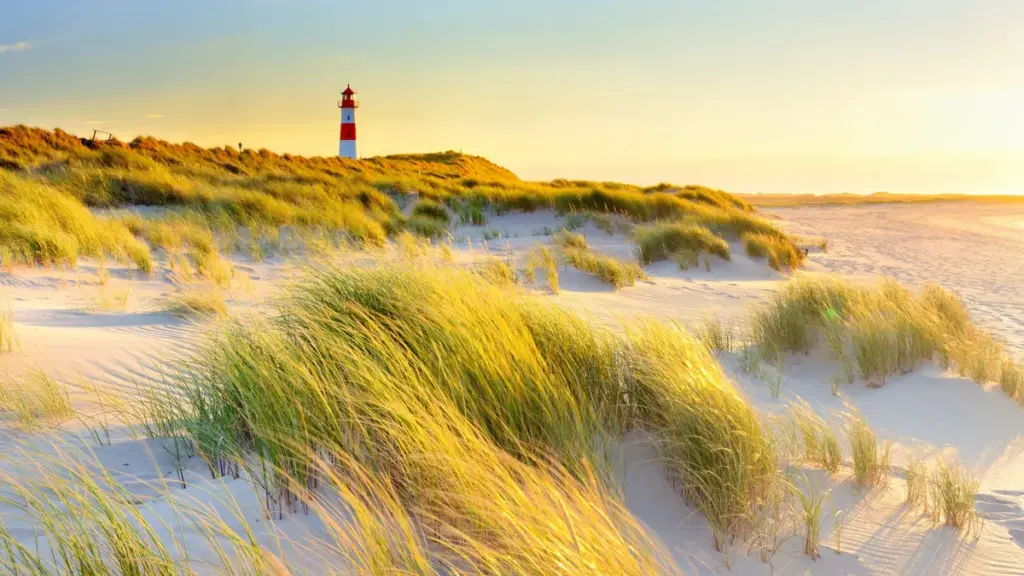 sylt — DE news