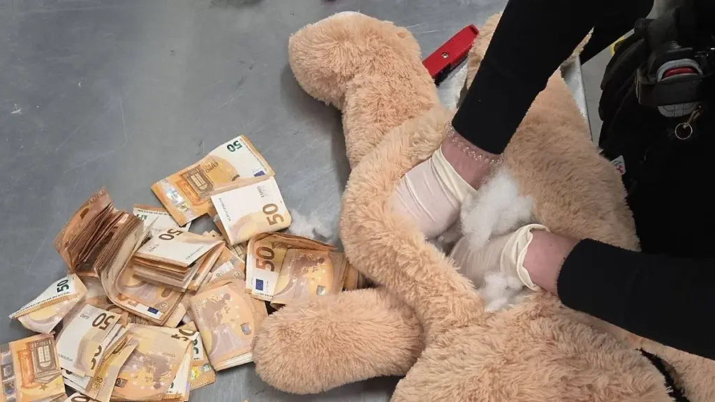 teddybär — DE news