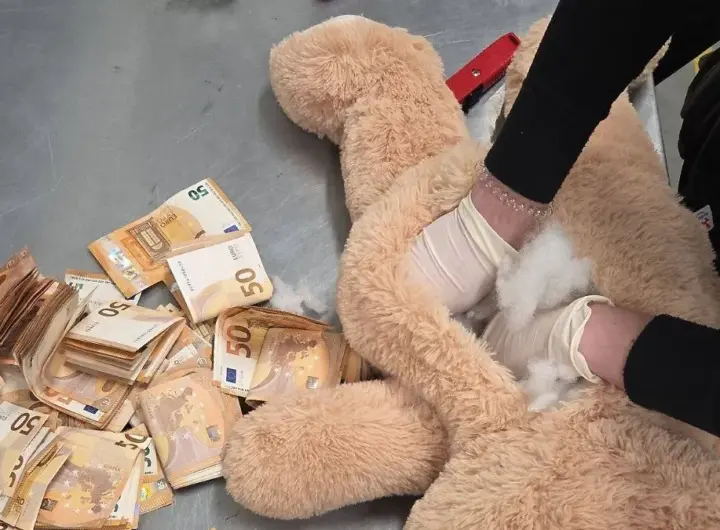 teddybär — DE news