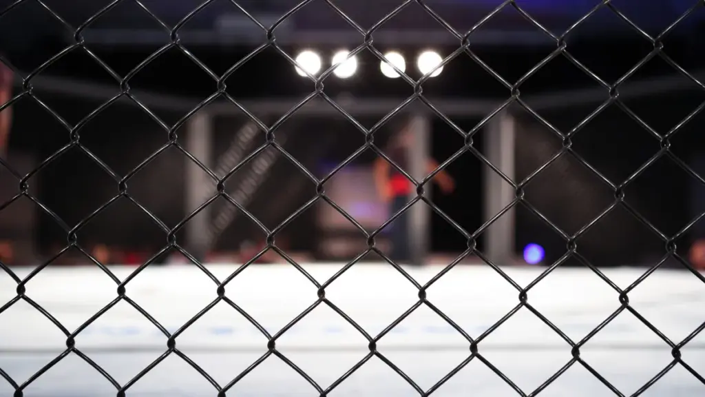 ufc — DE news