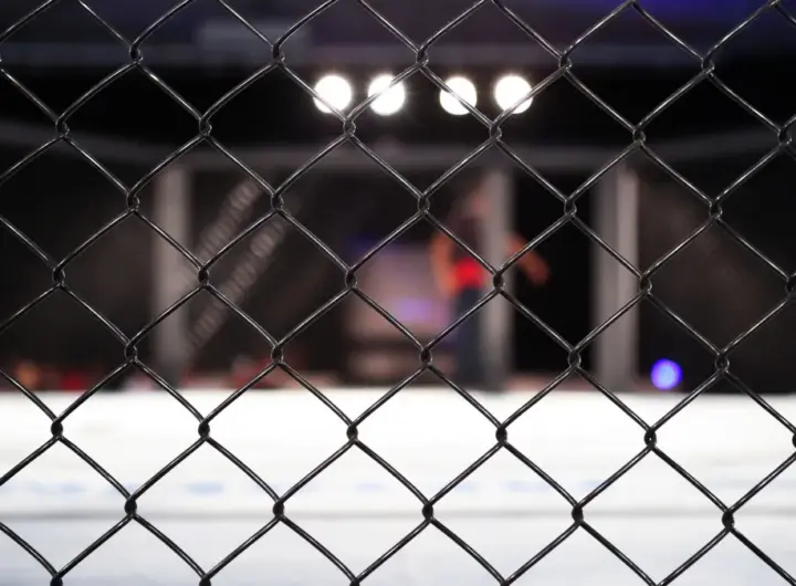 ufc — DE news