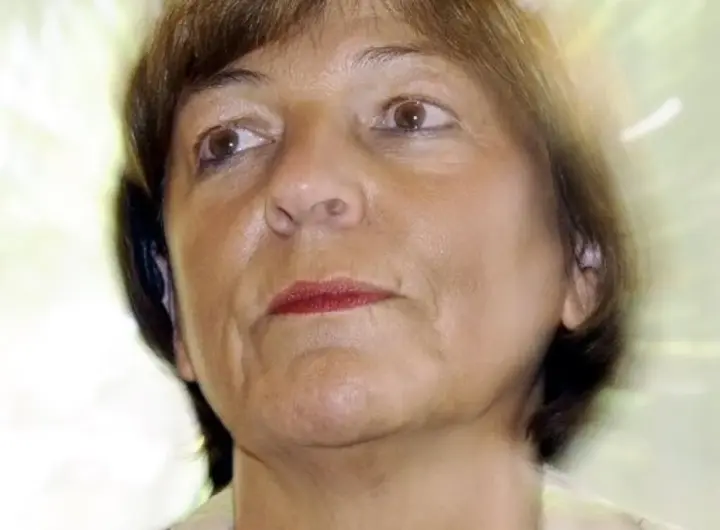 ulla schmidt — DE news