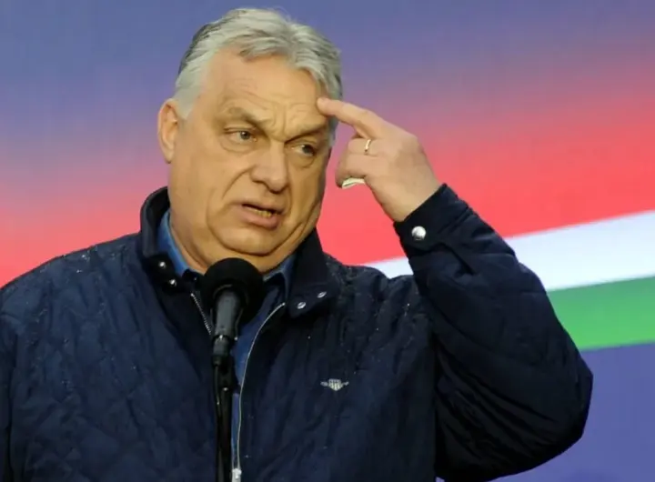 ungarn wahlen umfragen — DE news