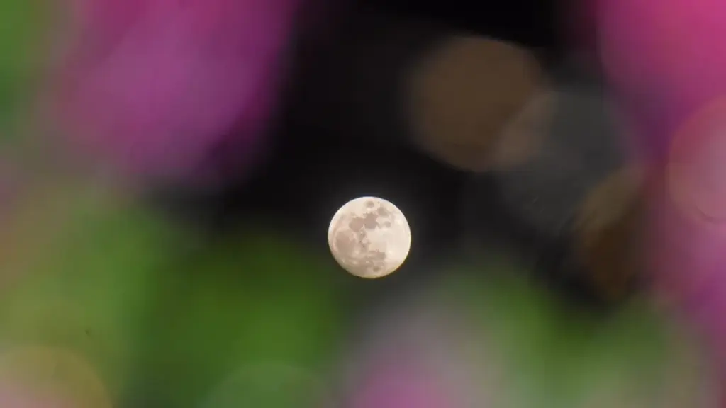 vollmond april 2026 pink moon — DE news