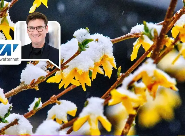 wetter april — DE news