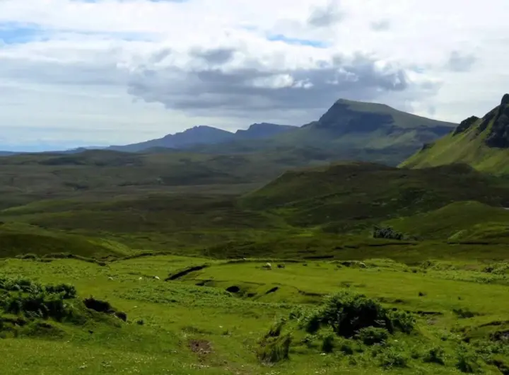 schottland — DE news