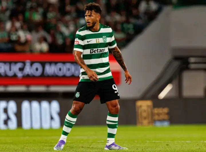 sporting – guimarães — DE news