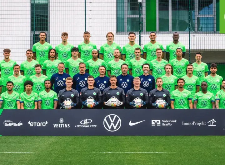 vfl wolfsburg — DE news