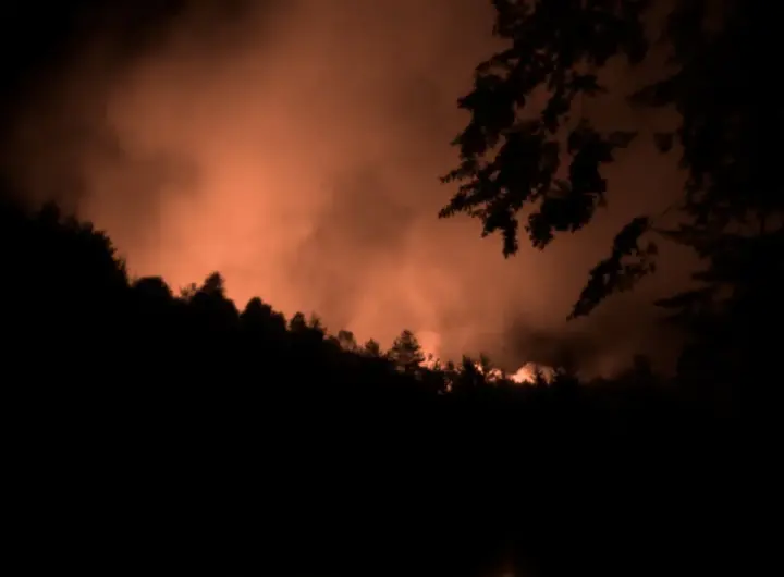 waldbrand böhmische schweiz — DE news