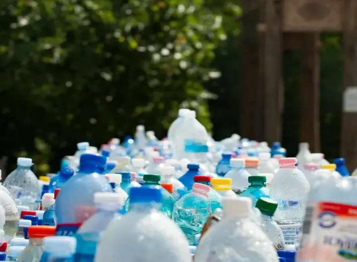 waste management — DE news