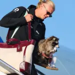 WM 2026: Kurioses Andenken: Erling Haaland landet mit ausgestopftem Tier in Norwegen - BILD