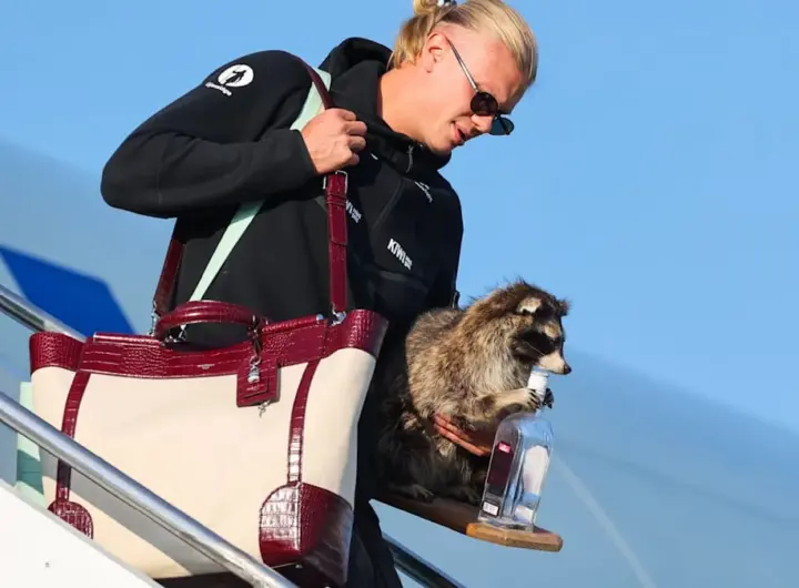 WM 2026: Kurioses Andenken: Erling Haaland landet mit ausgestopftem Tier in Norwegen - BILD